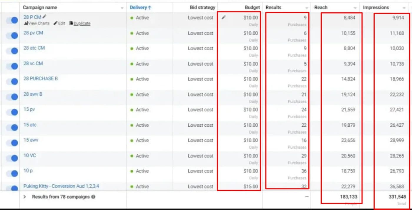 Facebook Ads Manager — campaign performance — screenshot 12