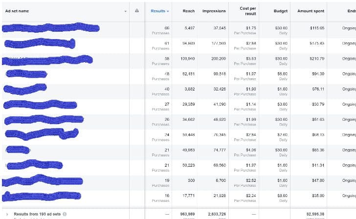Facebook & Google Ads — client campaign results — screenshot 2