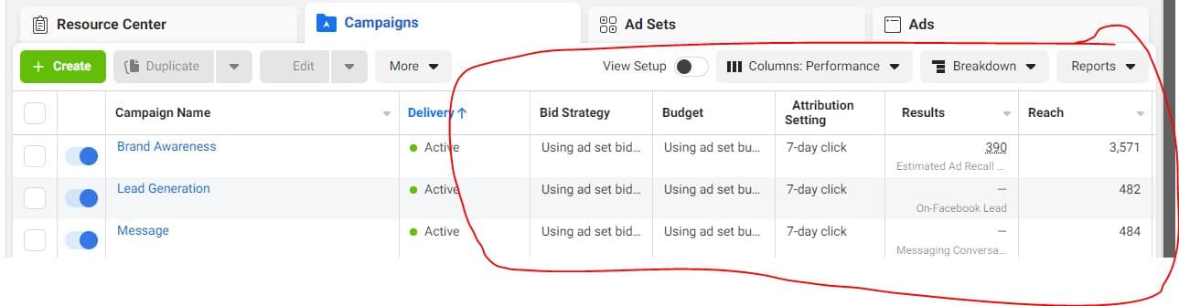 Facebook & Google Ads — client campaign results — screenshot 4