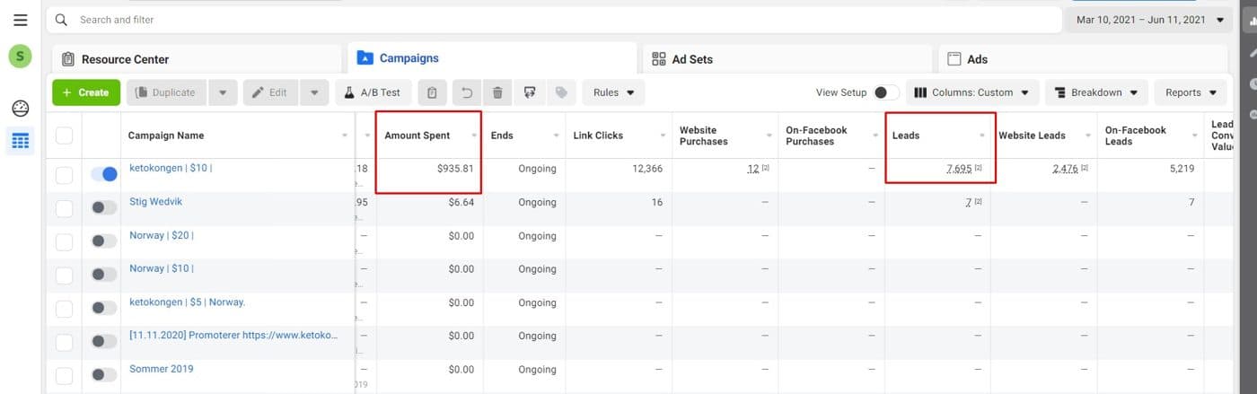 Facebook & Google Ads — client campaign results — screenshot 11