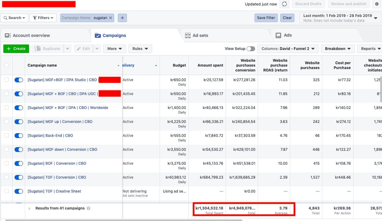 Facebook & Google Ads — client campaign results — screenshot 12