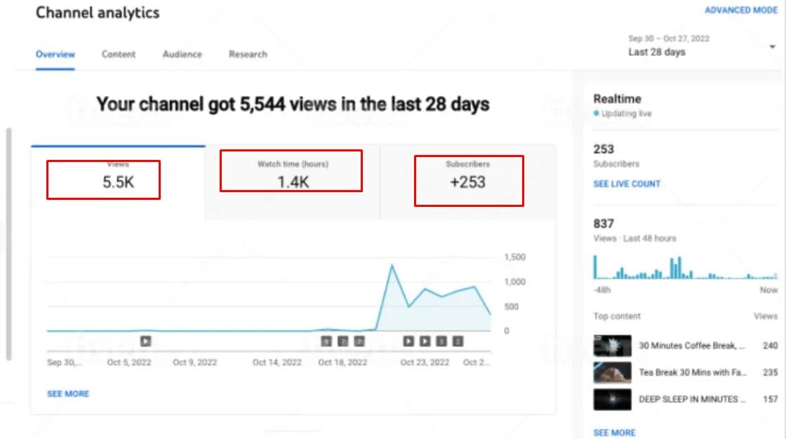 YouTube Channel Growth & Monetization — screenshot 8