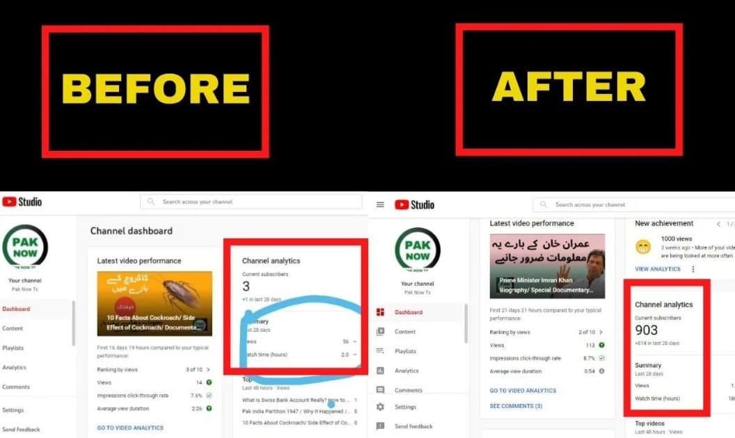 YouTube Channel Growth & Monetization — screenshot 10