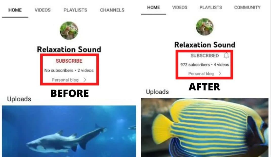 YouTube Channel Growth & Monetization — screenshot 12