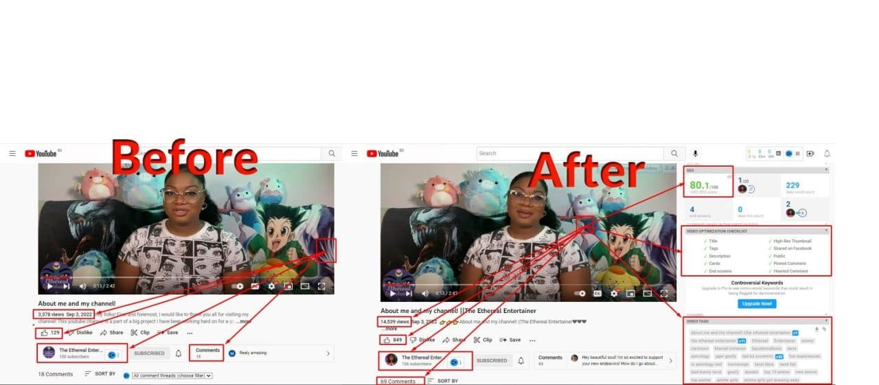 YouTube SEO & Video Optimization — screenshot 6