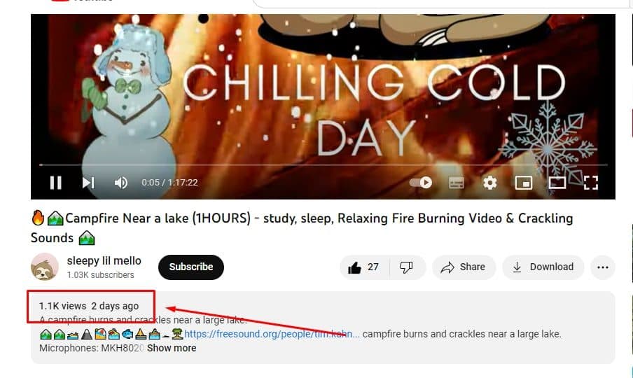 YouTube SEO & Video Optimization — screenshot 9